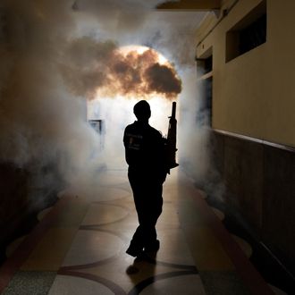 Zika Virus in Venezuela