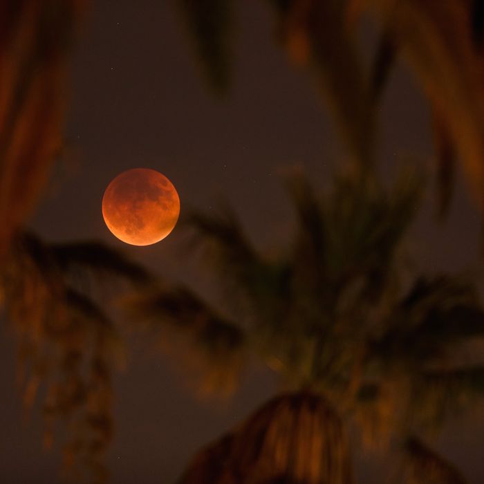 Supermoon Eclipse Visible In Skies Over California
