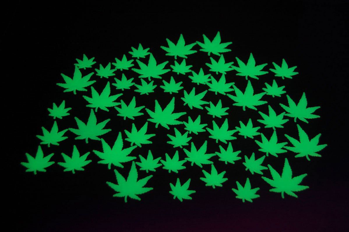 50 Piece Glow in the Dark Marijuana Weed Pot Leafs 