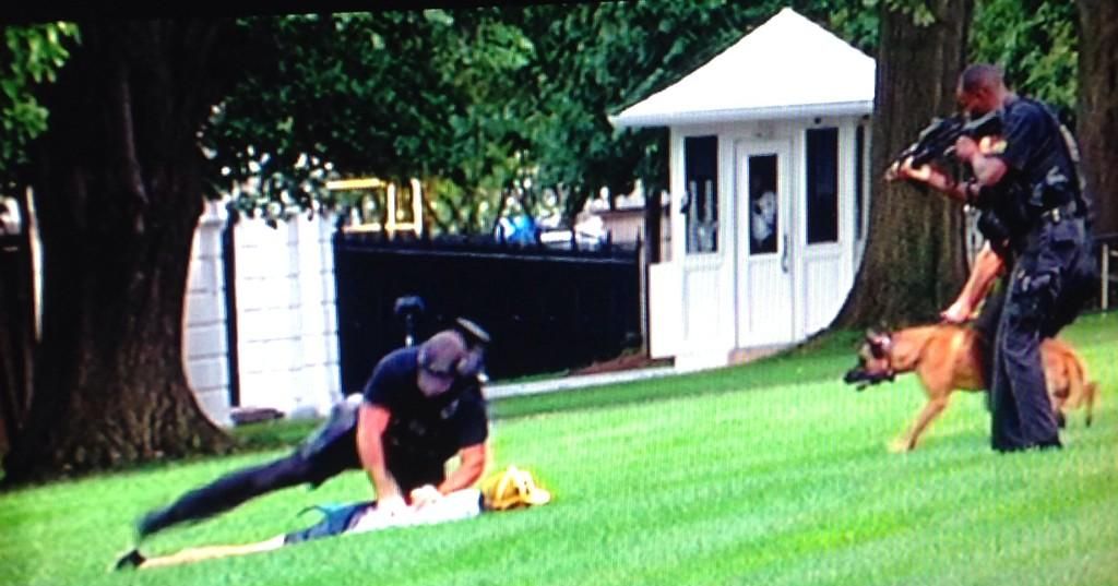 Man Decked Out In Pokemon Gear Jumps White House Fence