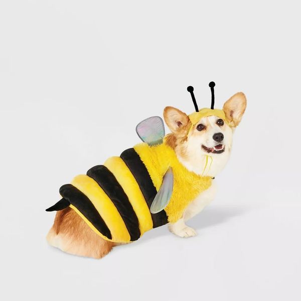 Bee with Reflective Wings Full Body Halloween Dog and Cat Costume