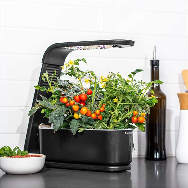 Top 15 smart garden for kitchen you need to invest in