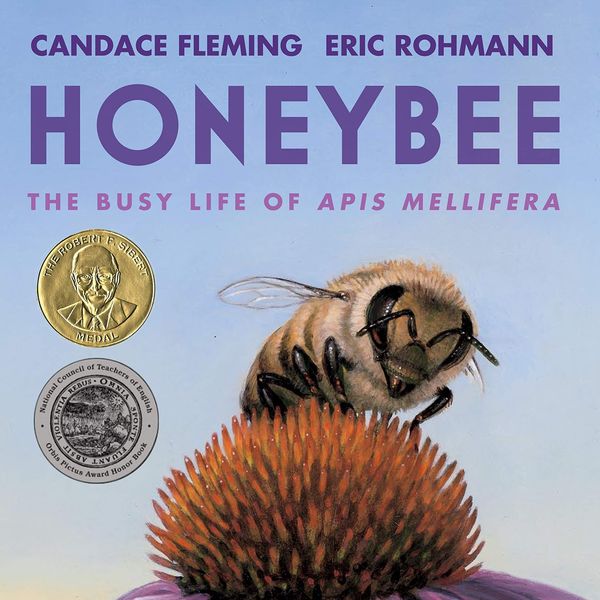 “Honeybee: The Busy Life of Apis Mellifera” by Candace Fleming