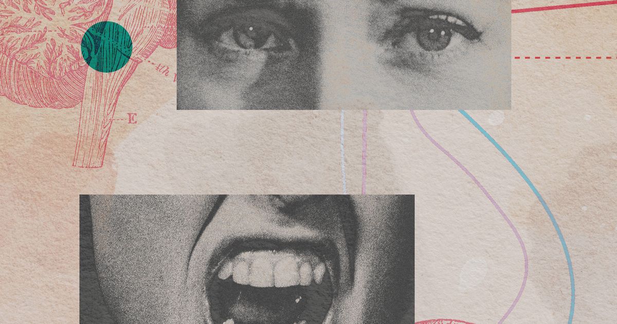 Publisher preview accompanying Me, My Husband, and My PMDD