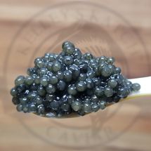 Kelley’s Catch Paddlefish Caviar - 2 oz