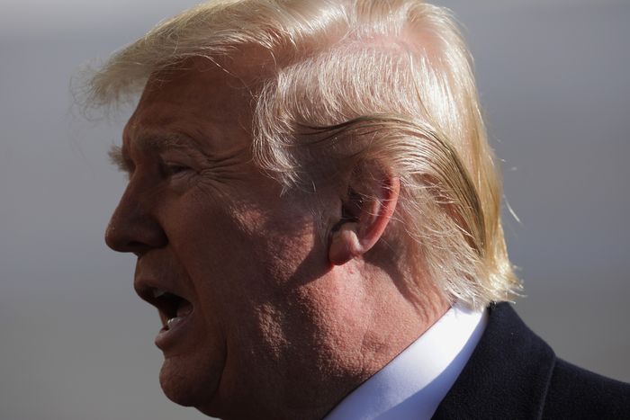 Trump Has Lost the Will to Be Blond - The Cut | Sikat Tesis