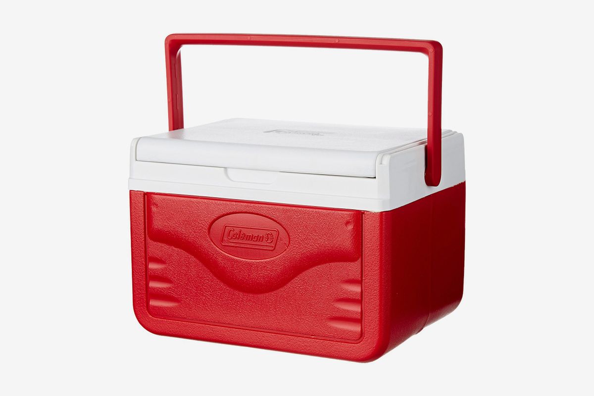 personal lunch cooler