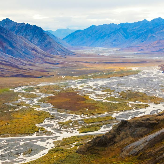 Trump Has The Arctic National Wildlife Refuge In His Sights