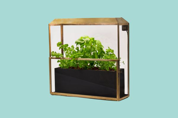 Modern Sprout Growhouse Greenhouse & Growlight