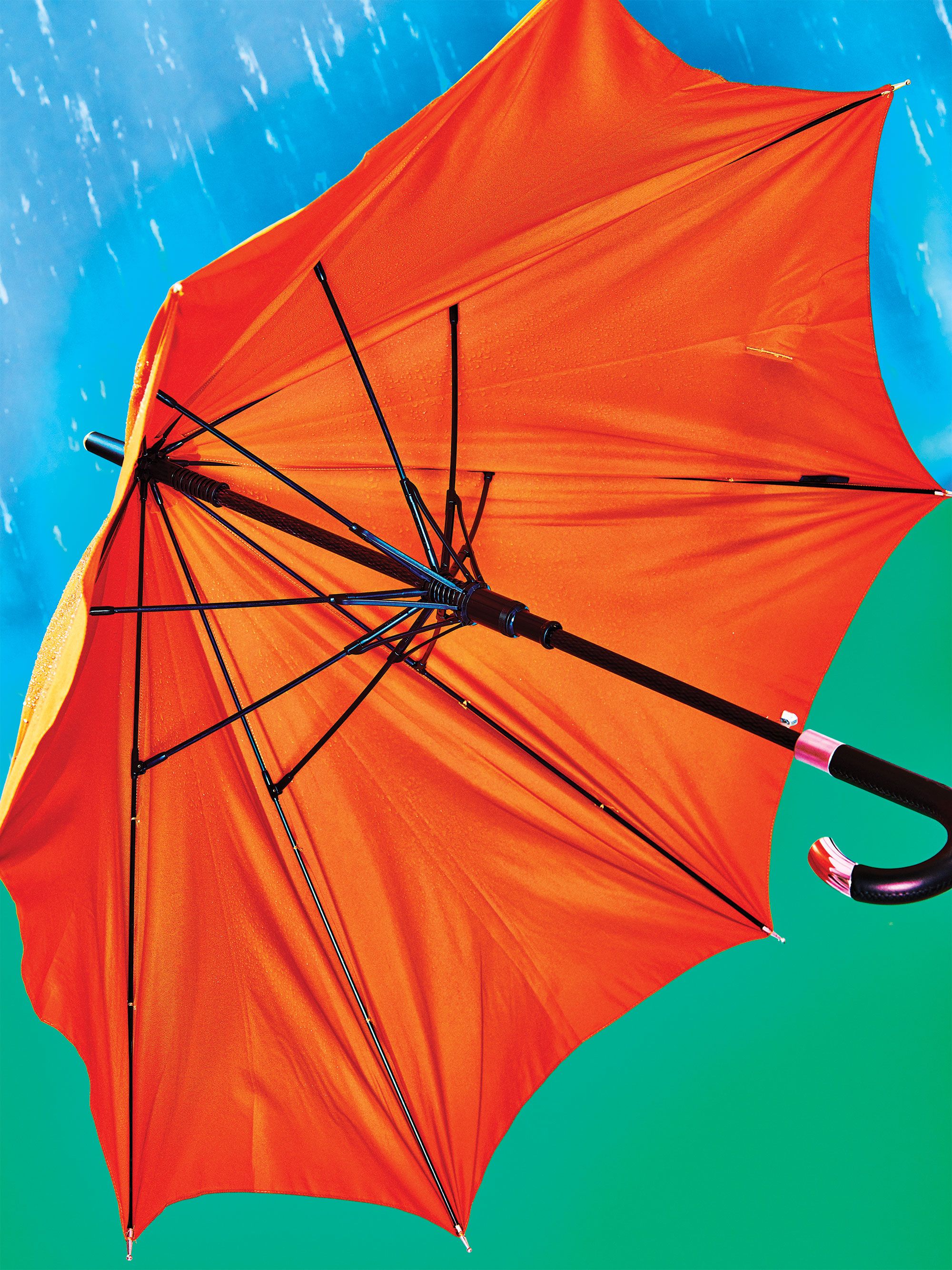 Wet Umbrella Bag -  Canada