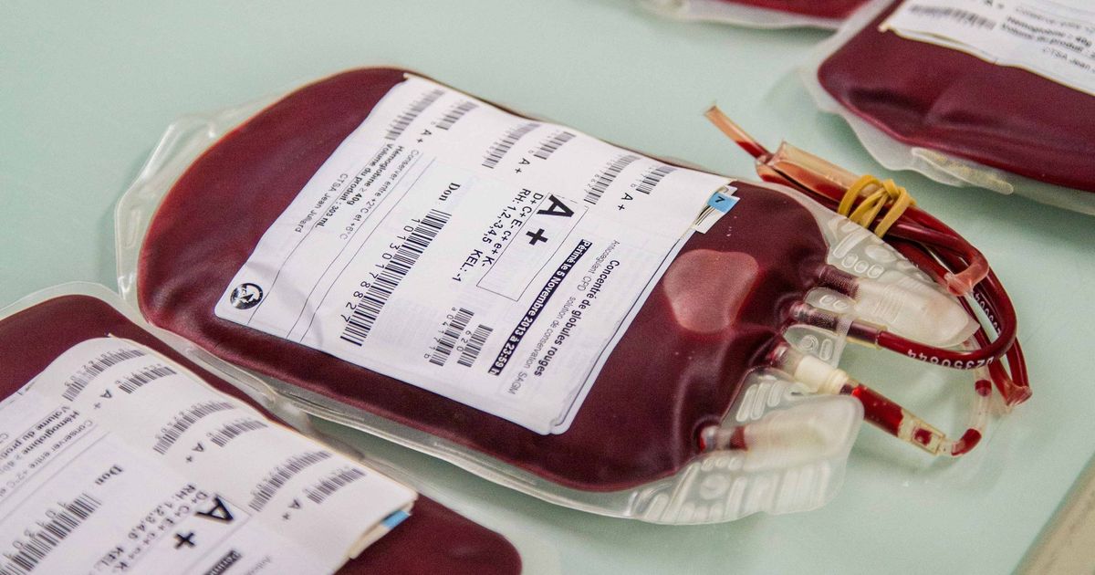 can gay men donate blood in the usa