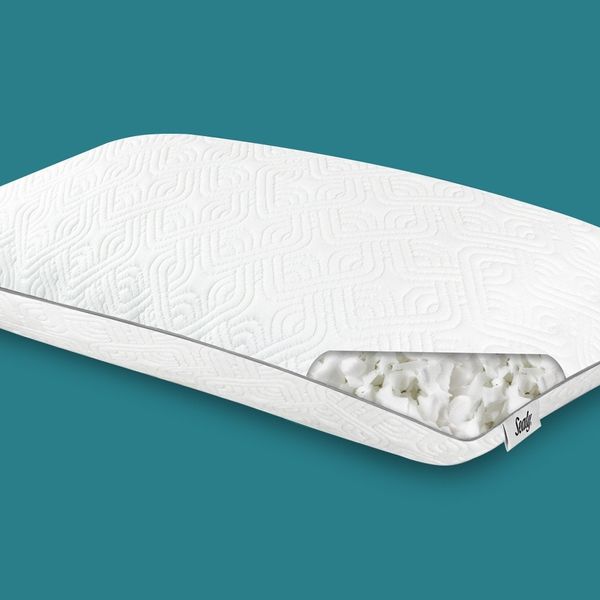 Sealy Adjustable Pillow