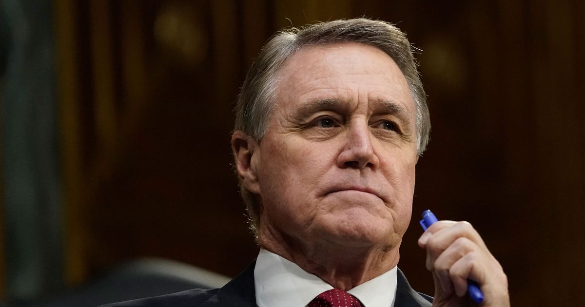 David Perdue Hit With More Allegations of Shady Stock Transactions