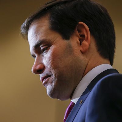 Marco Rubio campaigns in Spartanburg, South Carolina, USA