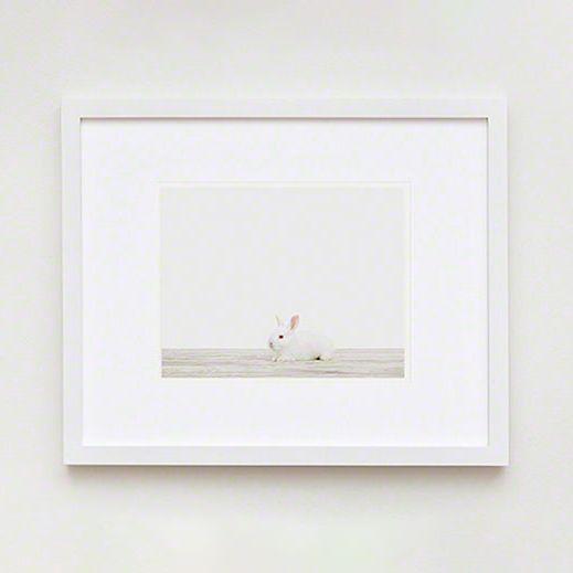 Baby Bunny No. 2