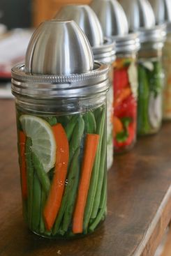 ChouAmi The Little Fermenter Kit
