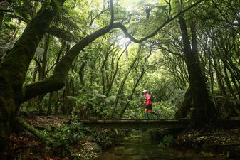 Tarawera Trail Run