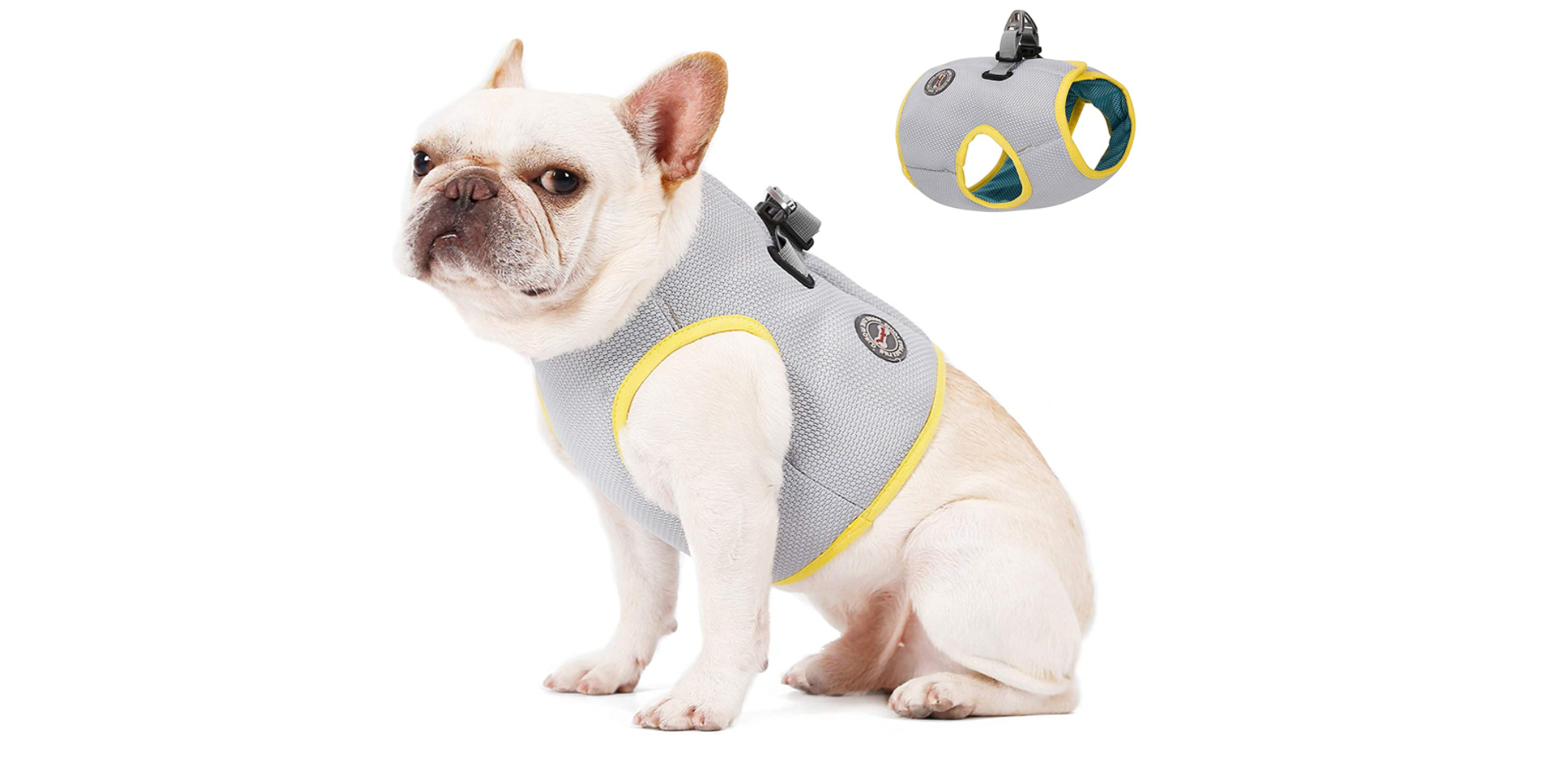 cute dog harness