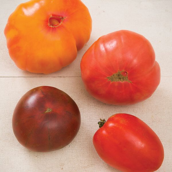 Johnny’s Seeds Heirloom Tomato Collection Organic Tomato Seed