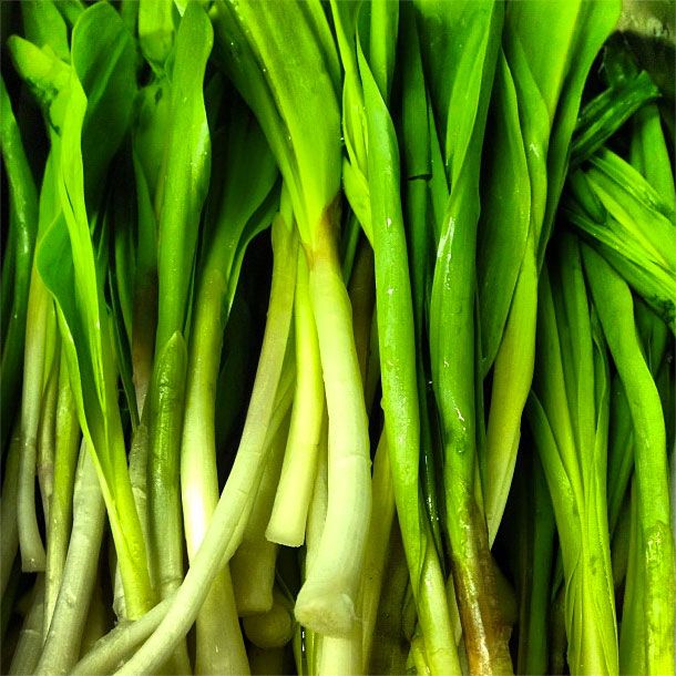 Ramps! Who run the world!