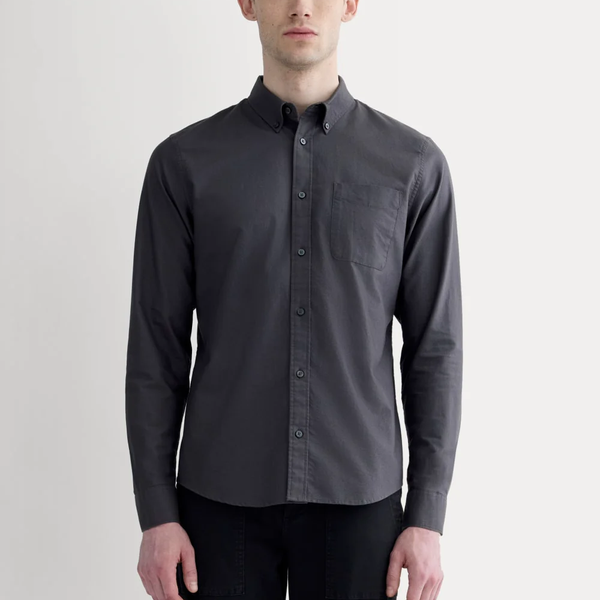 Everlane The Slim Oxford Shirt