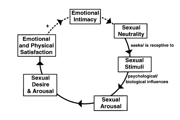 The Misunderstood Science of Sexual Desire image photo