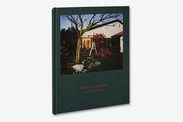 Pictures from Home by Larry Sultan