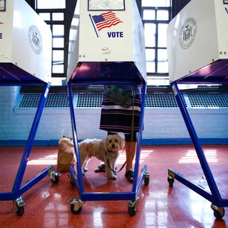 A woman casts vote at a polling station in Brooklyn, New York during the New York presidential primary April 19, 2016. 