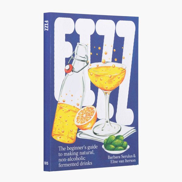 ‘Fizz: A Beginners Guide to Making Natural, Non-Alcoholic Fermented Drinks'
