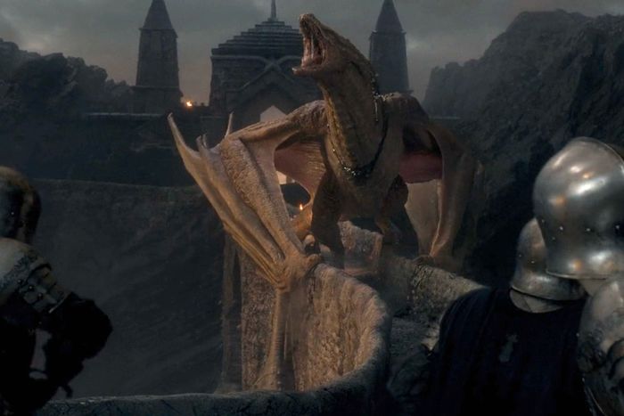 Get to Know House of the Dragon’s Royal Air Forces, air, Dragons, forces, here are my dragons!, House, house of the dragon, Royal, the dance of the dragons, tv, vulture section lede