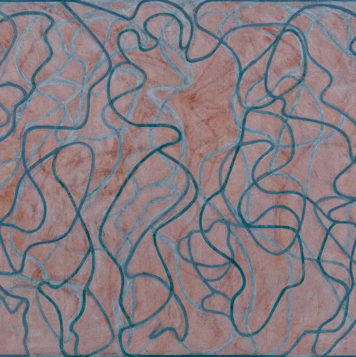 Saltz Reflects On Brice Marden S Reflective New Show