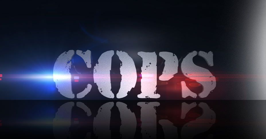 The TV Show Cops Is Being Made Into a Movie