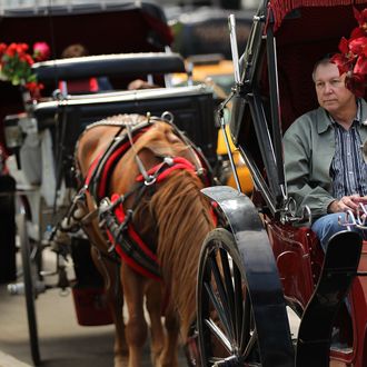 A man waits in a horse drawn carriage outside of Central Park on April 15, 2010 in New York, New York. A new law that passed the New York City Council will require carriage horses to have bigger stalls, five weeks of yearly rest time, and blankets to keep them warm in cold temperatures. The law, which is expected to be signed by New York Mayor Michael Bloomberg, will also raise the price of a carriage ride to $50 for the first 20 minutes instead of the current $34 for the first half-hour