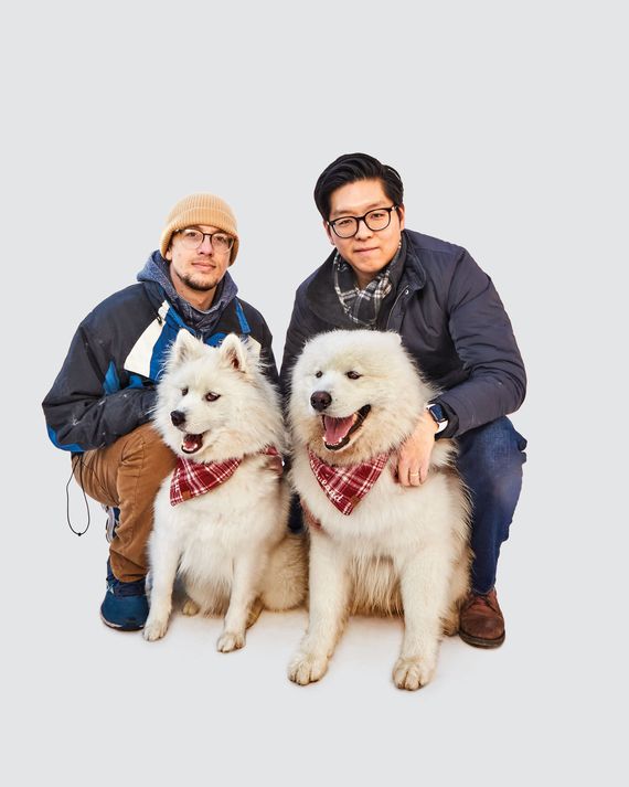 Show me a picture of best sale a samoyed