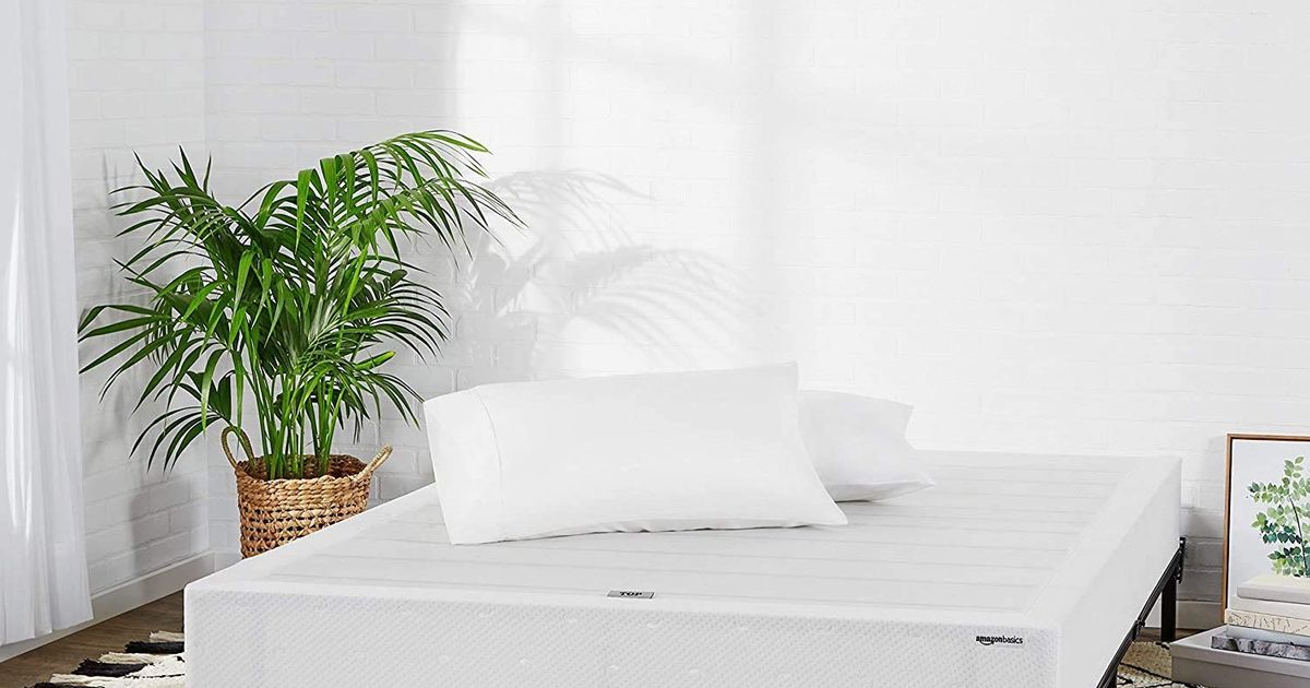 11 Best Box Springs 2022 The Strategist