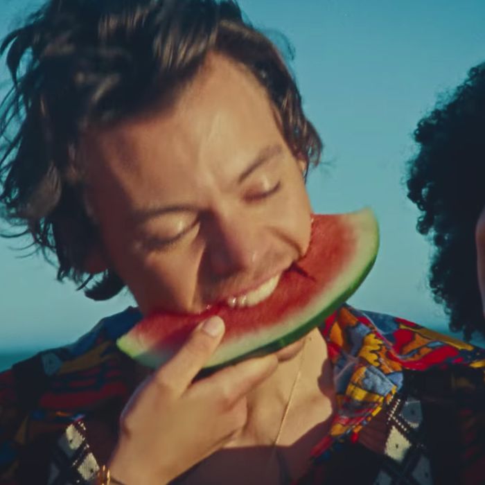 Padma Lakshmi Xxx - Harry Styles Thinks He Needs to Explain 'Watermelon Sugar'?
