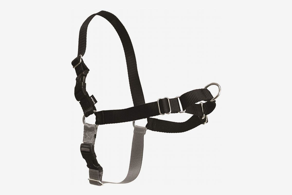 top 10 no pull dog harness