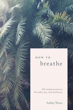 How to Breathe: 25 Simple Practices for Calm, Joy, and Resilience by Ashley Neese