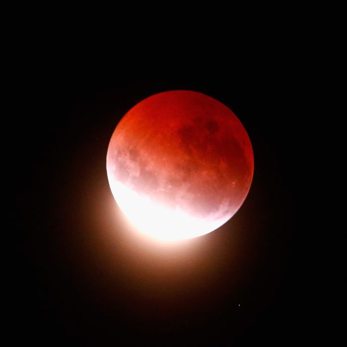 blood moon lunar eclipse