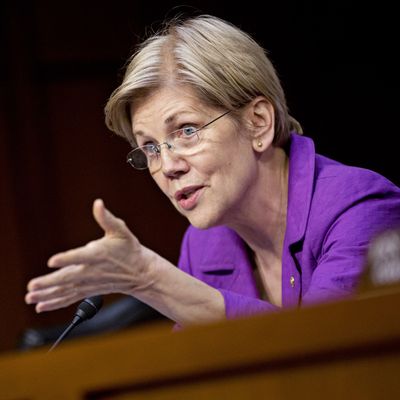 Elizabeth Warren