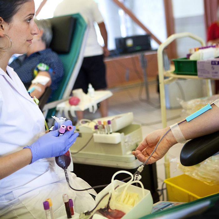 Can gay men donate blood 2015