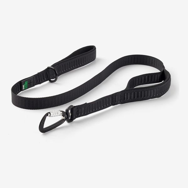 Rover Essential Dog Leash