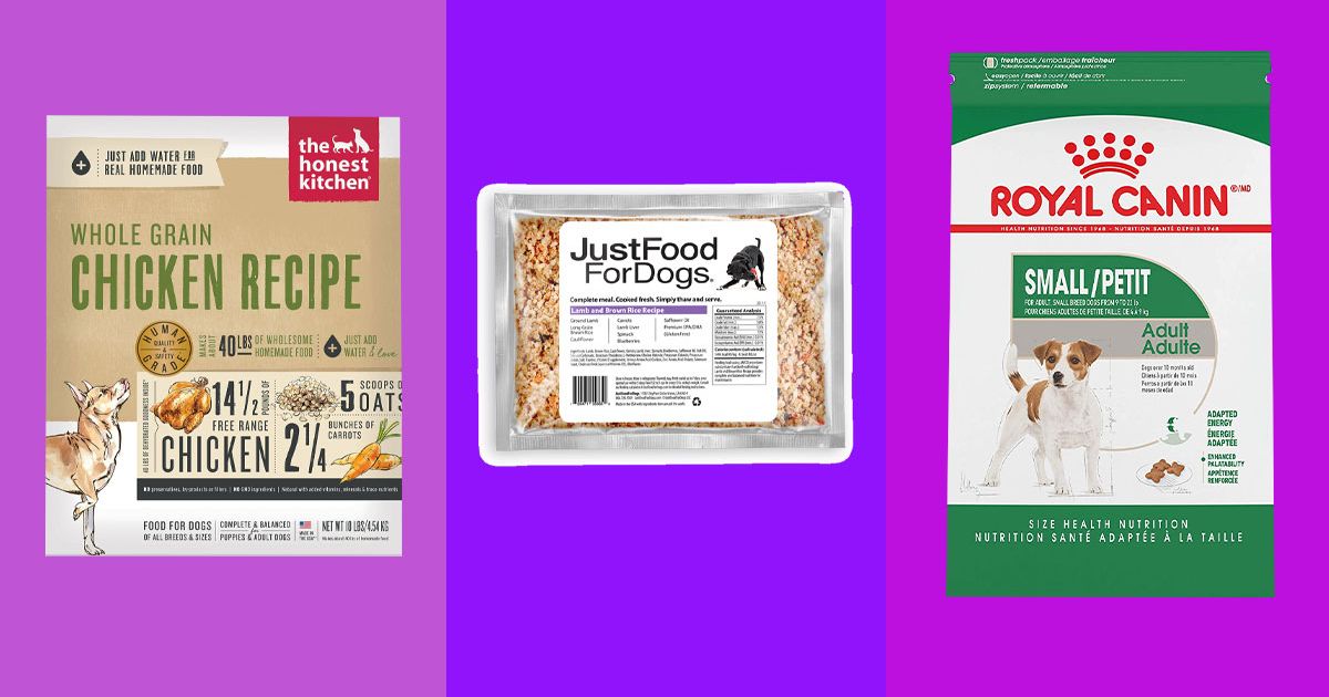 9 Best Dog Foods 2023 | The Strategist