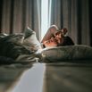 Woman awaking after sleeping well in a nice sleeping room.