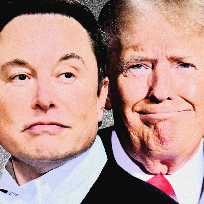 Elon Musks Politics Are About As Complicated As Trumps 