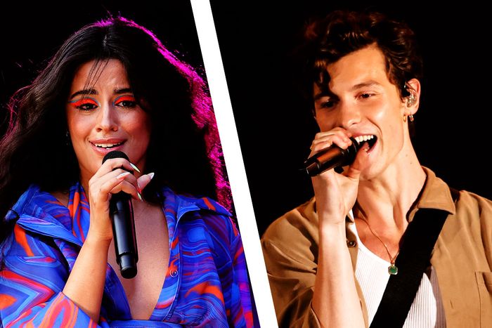 Camila Cabello 'Familia' Lyrics: About Shawn Mendes, Breakup