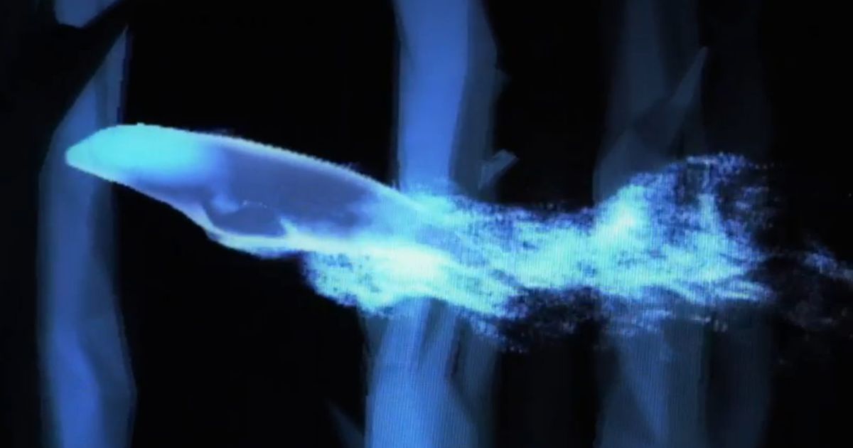 Take Pottermore's Patronus quiz and find out if you're a dolphin