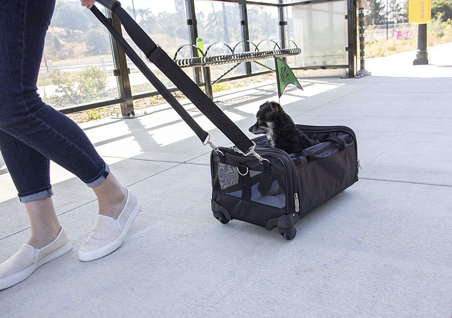 8 Trendiest Dog Bags 19 The Strategist