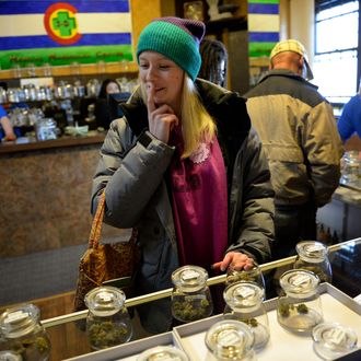 DENVER, CO. - JANUARY 02: Kristin Brinckerhoff ponders the selection of marijuana at 3D Cannabis Center in Denver, CO January 02, 2014. Kristin said she waited a day to buy marijuana, 
