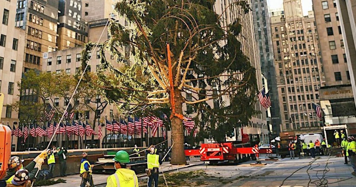 A 12-foot-tall 2D Christmas tree is looking over Fifth Avenue now